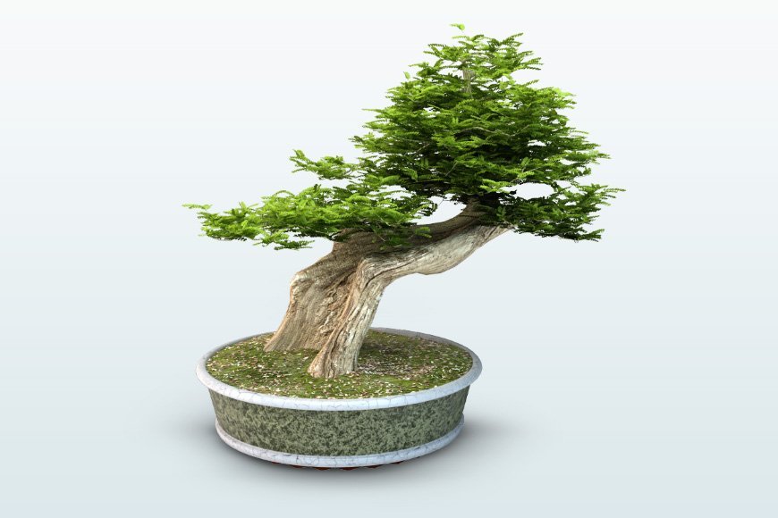 Tree 3d Models Free Commercial