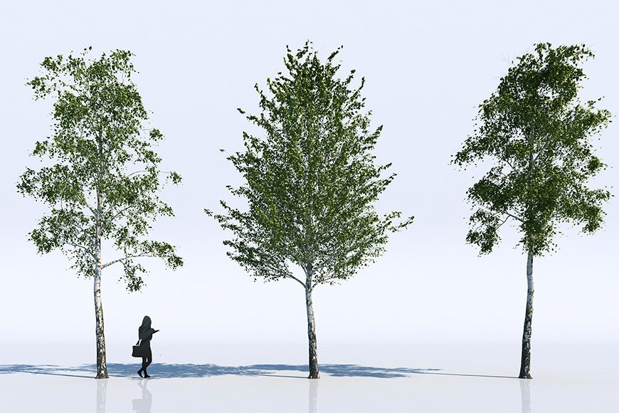  Free  3d  models  Trees  Viz People